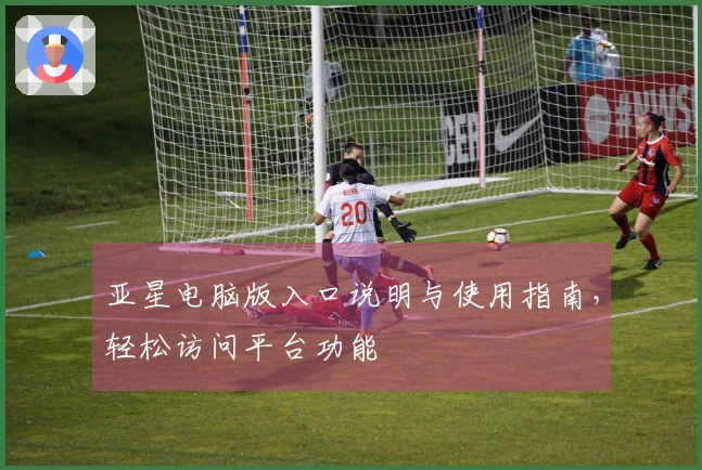 亚星电脑版入口说明与使用指南，轻松访问平台功能