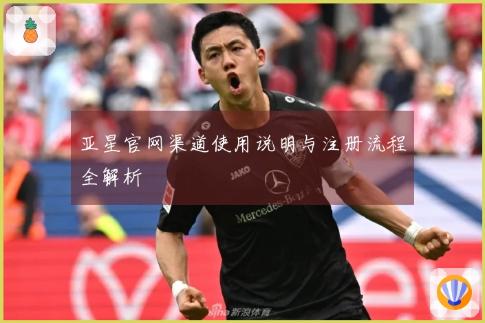 亚星官网渠道使用说明与注册流程全解析