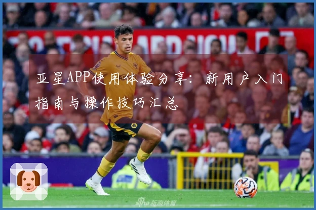 亚星APP使用体验分享：新用户入门指南与操作技巧汇总