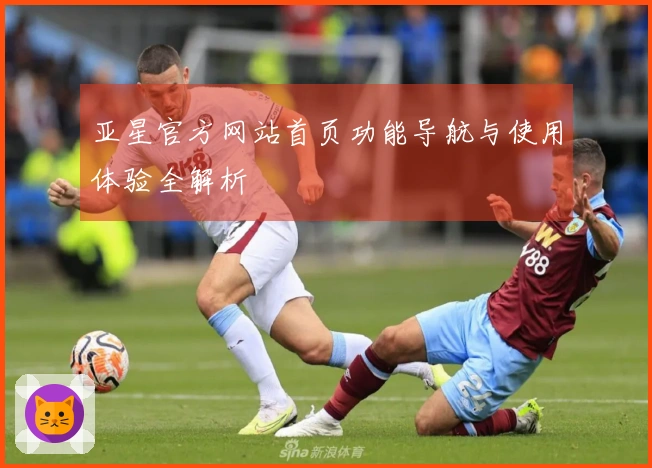 亚星官方网站首页功能导航与使用体验全解析