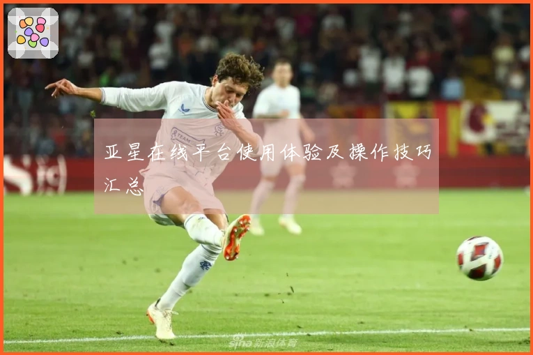 亚星在线平台使用体验及操作技巧汇总